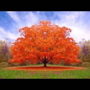 Meet your Posher, Muneerah